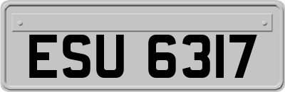 ESU6317