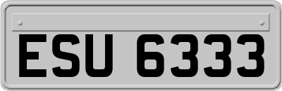 ESU6333