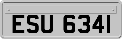 ESU6341