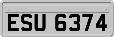 ESU6374