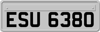 ESU6380