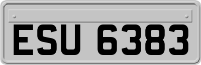 ESU6383