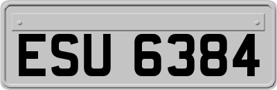 ESU6384