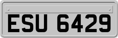ESU6429