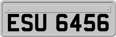 ESU6456