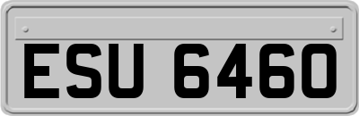 ESU6460