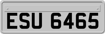 ESU6465