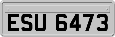 ESU6473