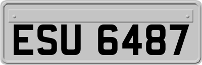 ESU6487