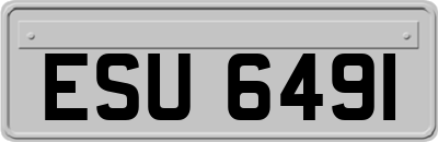 ESU6491