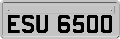 ESU6500