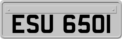 ESU6501