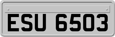 ESU6503
