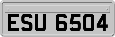 ESU6504