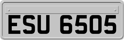 ESU6505