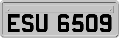 ESU6509
