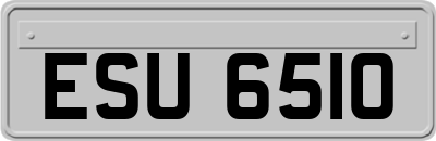 ESU6510