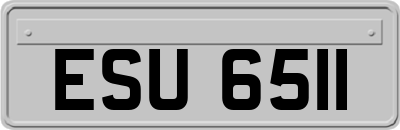 ESU6511