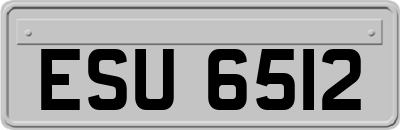 ESU6512