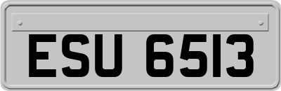 ESU6513