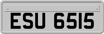 ESU6515