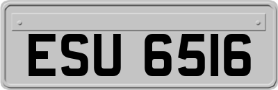 ESU6516