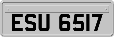 ESU6517