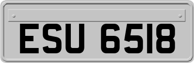 ESU6518