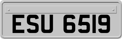 ESU6519