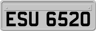ESU6520