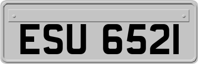 ESU6521