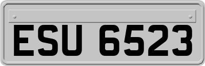 ESU6523