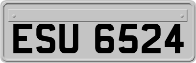 ESU6524