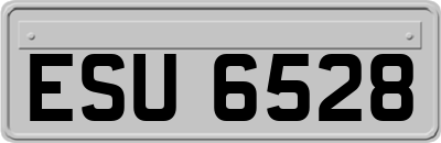 ESU6528