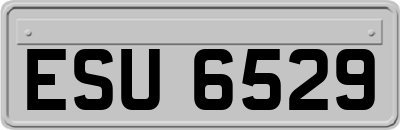 ESU6529