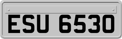 ESU6530