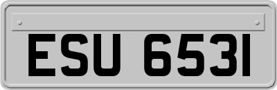 ESU6531