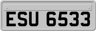 ESU6533