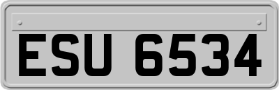 ESU6534