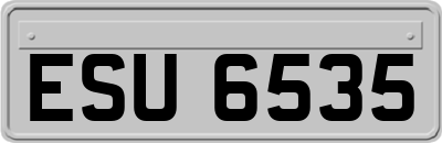 ESU6535