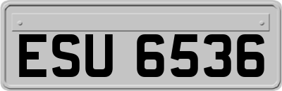 ESU6536
