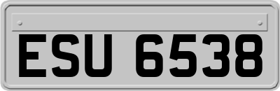 ESU6538
