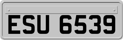 ESU6539