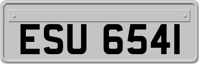ESU6541
