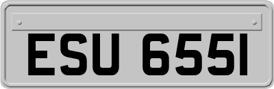 ESU6551