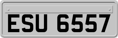 ESU6557