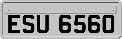 ESU6560