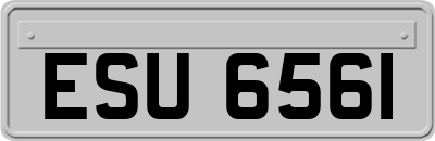 ESU6561