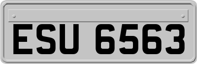 ESU6563