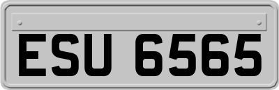 ESU6565